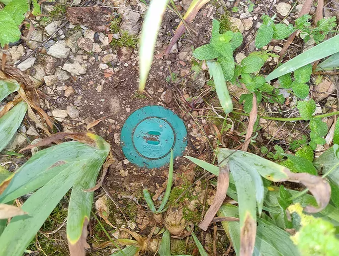 la pose d'un piège anti termites dans un jardin