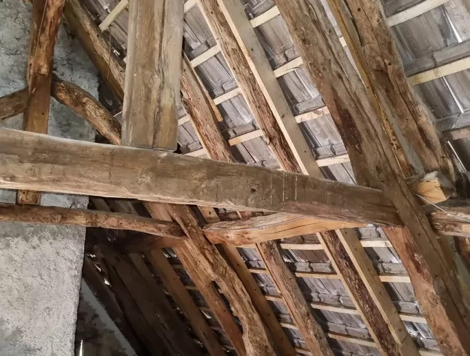 traitement termites sur une charpente en bois 